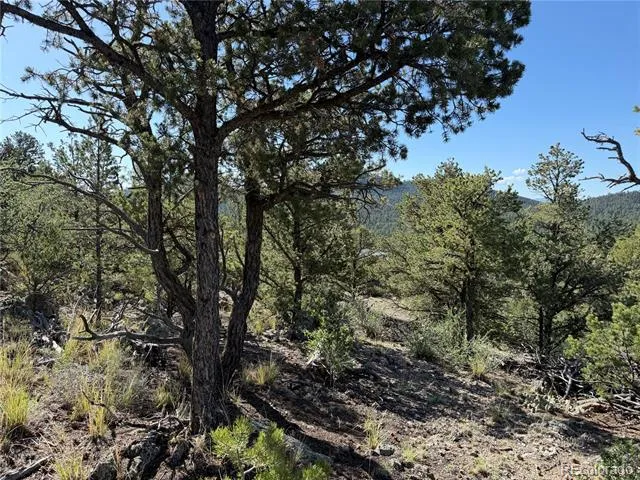 20 Molly Lane Cotopaxi, CO 81223
