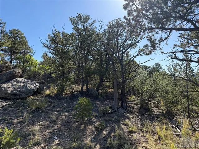 20 Molly Lane Cotopaxi, CO 81223