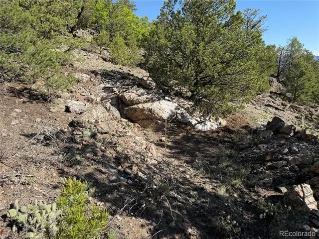20 Molly Lane Cotopaxi, CO 81223