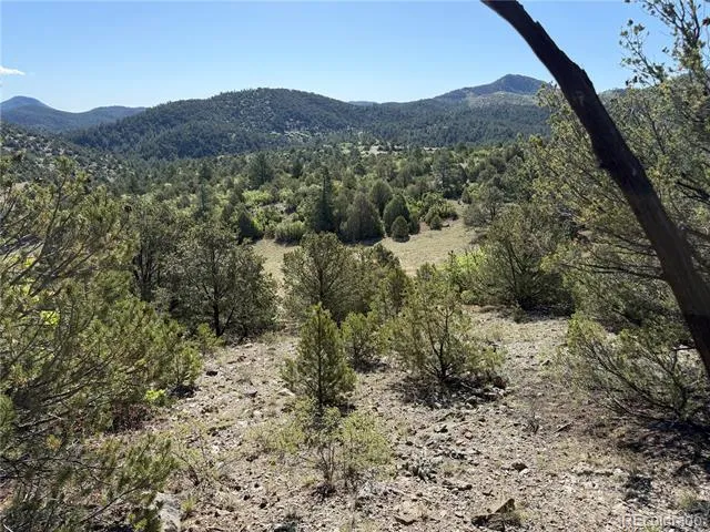 20 Molly Lane Cotopaxi, CO 81223