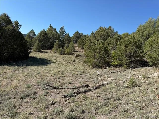 20 Molly Lane Cotopaxi, CO 81223