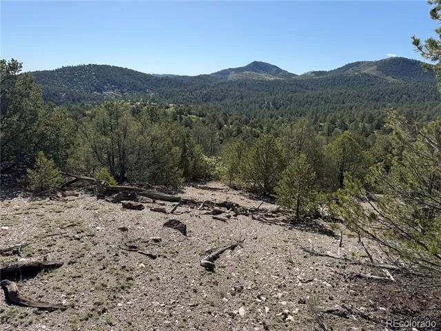 20 Molly Lane Cotopaxi, CO 81223
