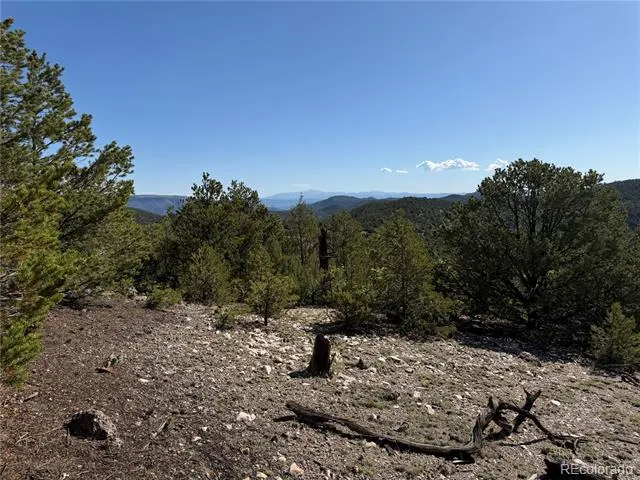 20 Molly Lane Cotopaxi, CO 81223