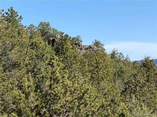 20 Molly Lane Cotopaxi, CO 81223