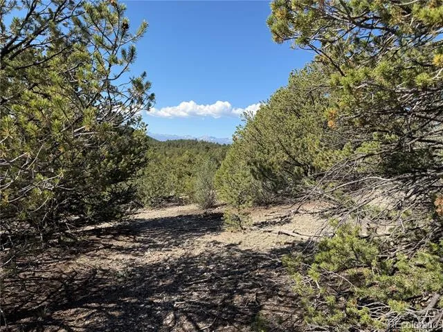 20 Molly Lane Cotopaxi, CO 81223