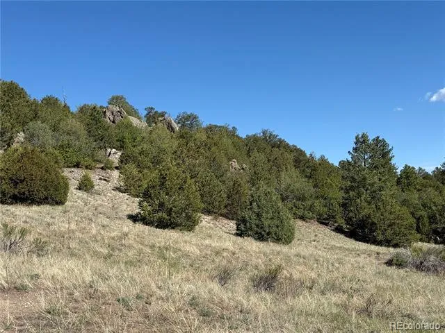 20 Molly Lane Cotopaxi, CO 81223