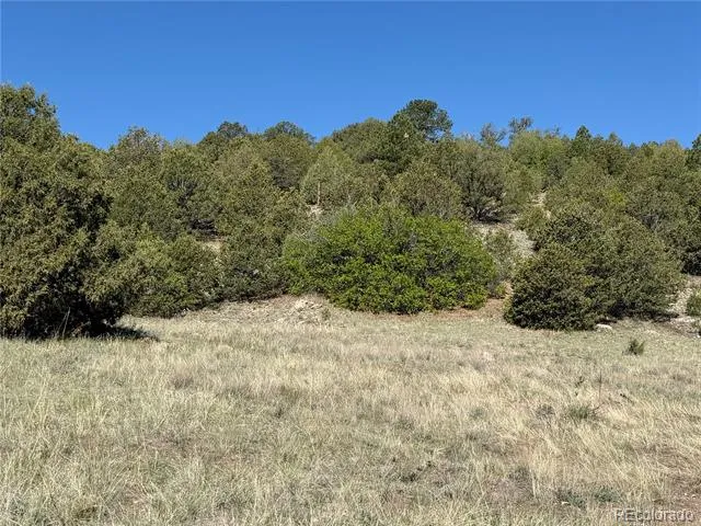 20 Molly Lane Cotopaxi, CO 81223