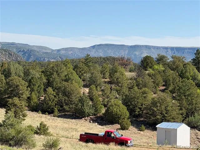 20 Molly Lane Cotopaxi, CO 81223