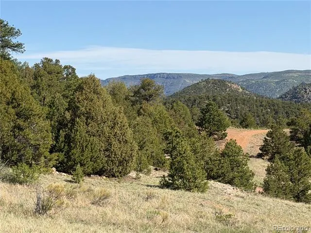20 Molly Lane Cotopaxi, CO 81223