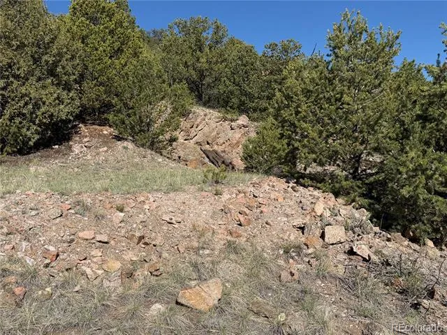 20 Molly Lane Cotopaxi, CO 81223