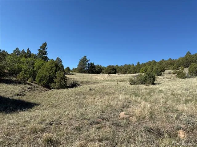 20 Molly Lane Cotopaxi, CO 81223