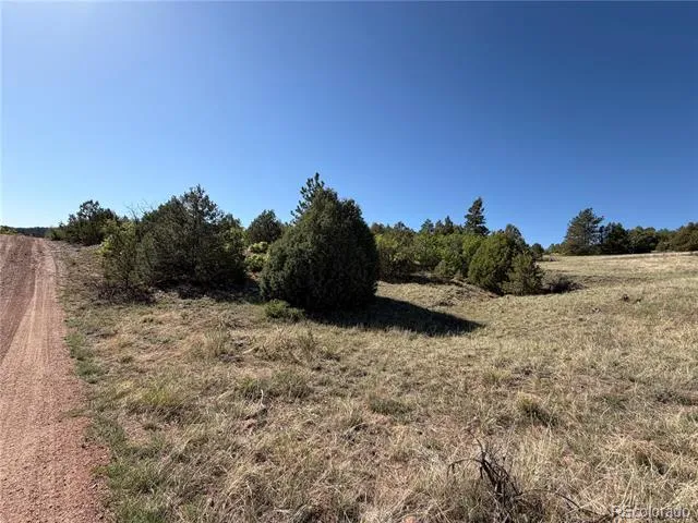 20 Molly Lane Cotopaxi, CO 81223