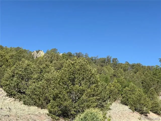 20 Molly Lane Cotopaxi, CO 81223