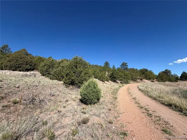 20 Molly Lane Cotopaxi, CO 81223