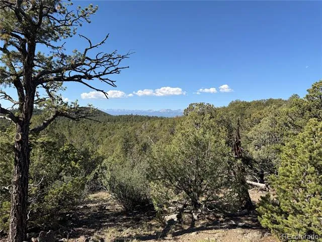 20 Molly Lane Cotopaxi, CO 81223