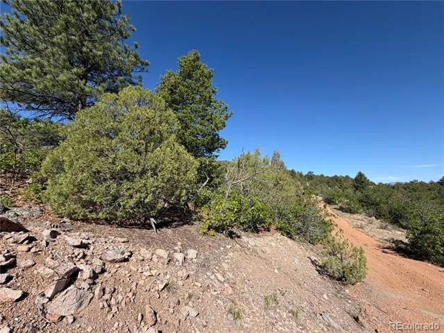 20 Molly Lane Cotopaxi, CO 81223