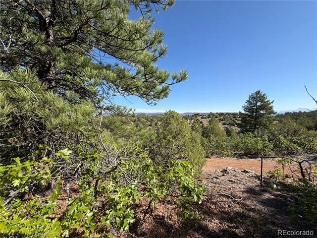 20 Molly Lane Cotopaxi, CO 81223