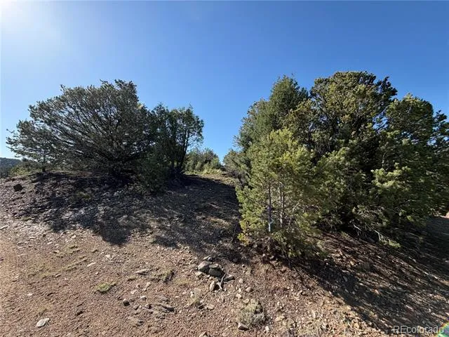 20 Molly Lane Cotopaxi, CO 81223