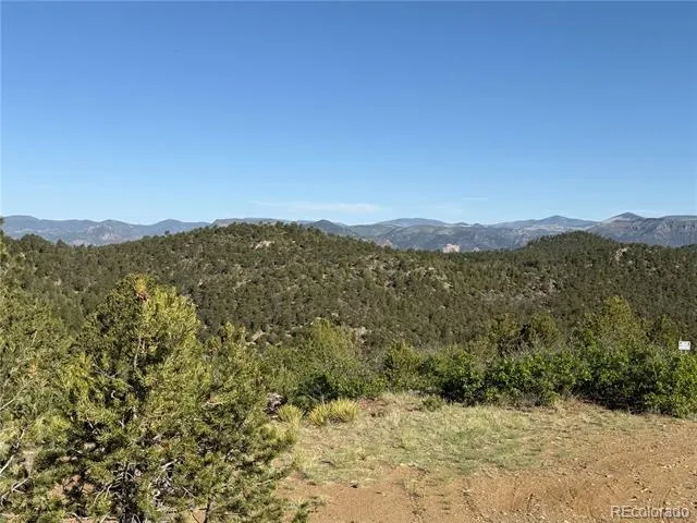 20 Molly Lane Cotopaxi, CO 81223