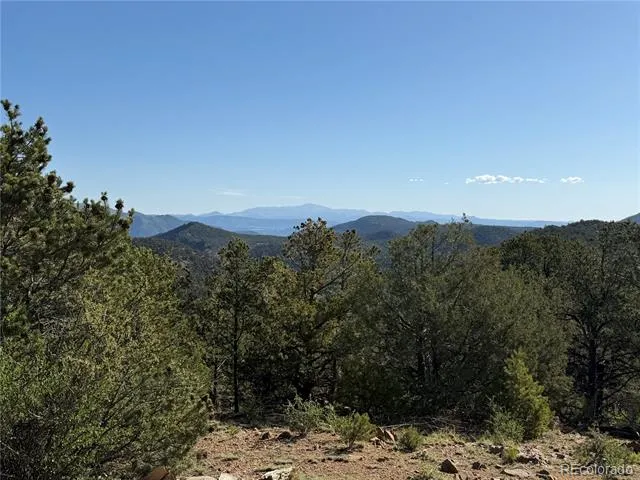 20 Molly Lane Cotopaxi, CO 81223