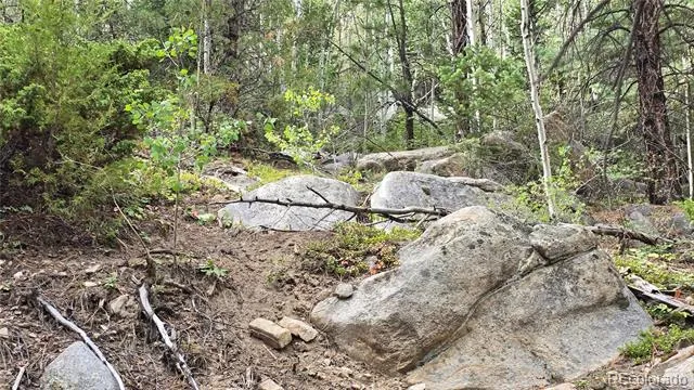 Lot 6474 Malcolm Road San Luis, CO 81152