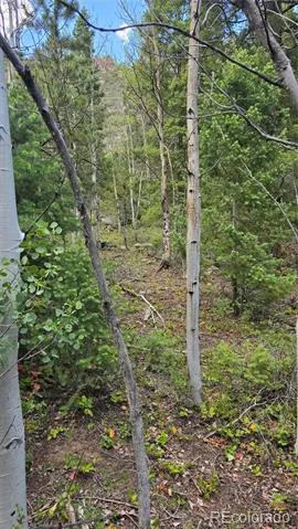 Lot 6474 Malcolm Road San Luis, CO 81152