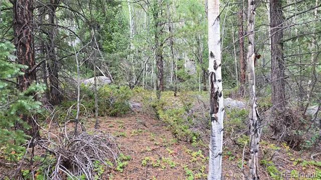 Lot 6474 Malcolm Road San Luis, CO 81152