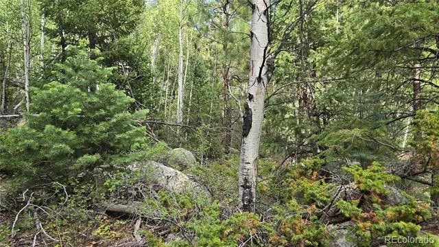 Lot 6474 Malcolm Road San Luis, CO 81152