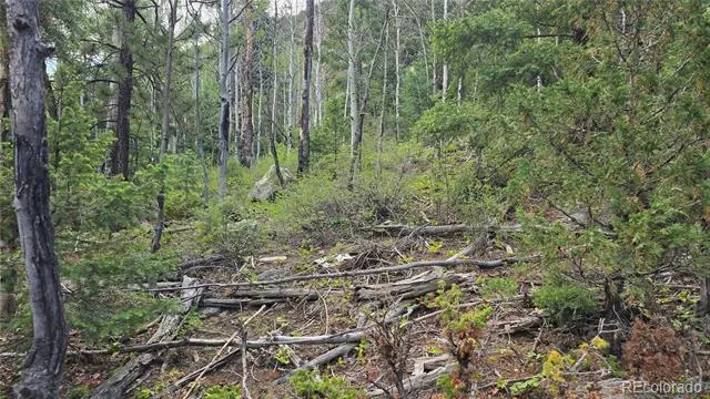 Lot 6474 Malcolm Road San Luis, CO 81152