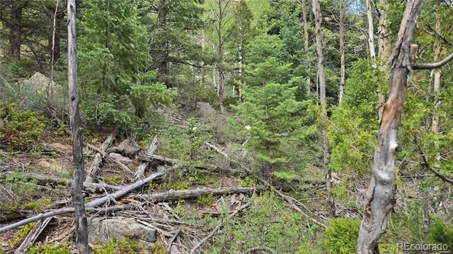 Lot 6474 Malcolm Road San Luis, CO 81152