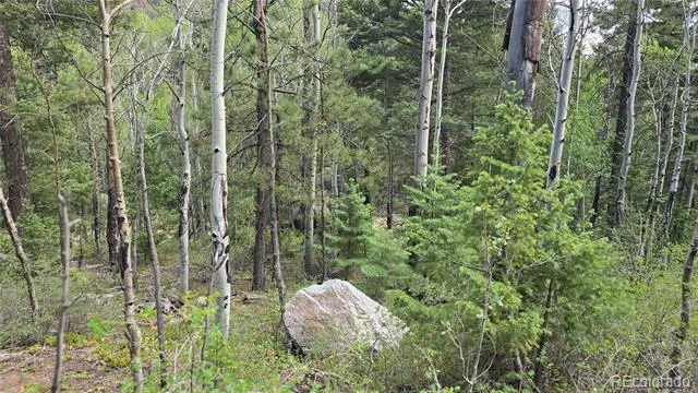 Lot 6474 Malcolm Road San Luis, CO 81152