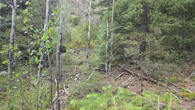 Lot 6474 Malcolm Road San Luis, CO 81152
