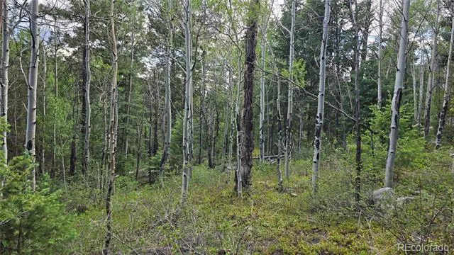 Lot 6474 Malcolm Road San Luis, CO 81152