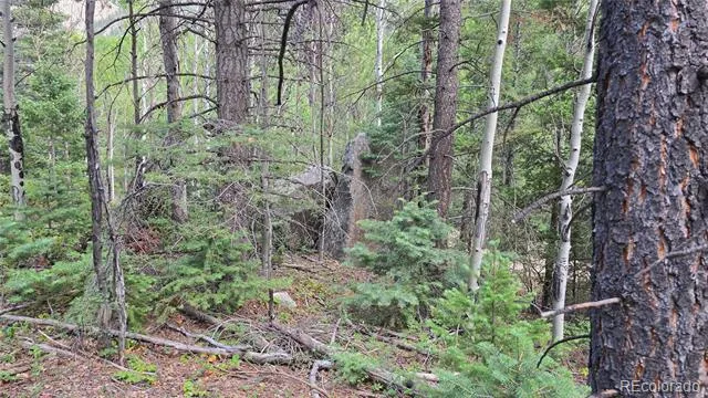 Lot 6474 Malcolm Road San Luis, CO 81152