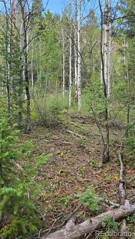 Lot 6474 Malcolm Road San Luis, CO 81152