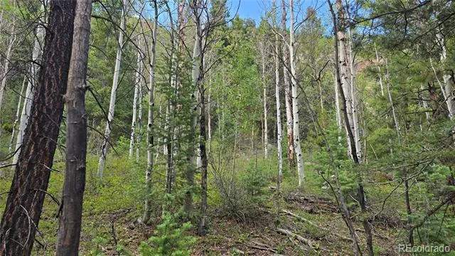 Lot 6474 Malcolm Road San Luis, CO 81152