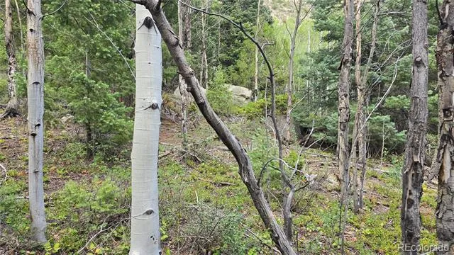 Lot 6474 Malcolm Road San Luis, CO 81152