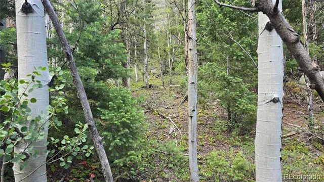 Lot 6474 Malcolm Road San Luis, CO 81152