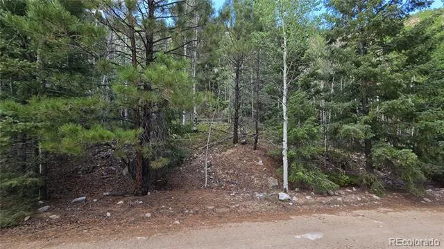 Lot 6474 Malcolm Road San Luis, CO 81152
