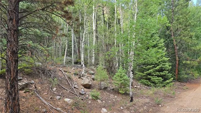 Lot 6474 Malcolm Road San Luis, CO 81152
