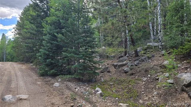 Lot 6474 Malcolm Road San Luis, CO 81152