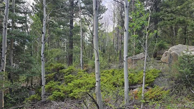 Lot 6474 Malcolm Road San Luis, CO 81152