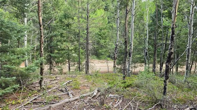 Lot 6474 Malcolm Road San Luis, CO 81152