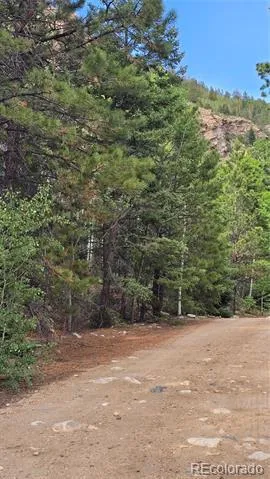 Lot 6474 Malcolm Road San Luis, CO 81152