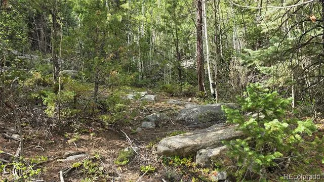 Lot 6474 Malcolm Road San Luis, CO 81152
