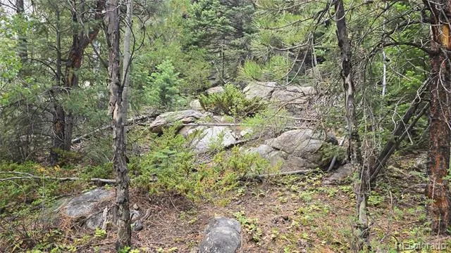 Lot 6474 Malcolm Road San Luis, CO 81152