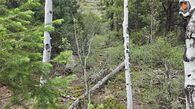 Lot 6474 Malcolm Road San Luis, CO 81152