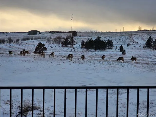 County Road 25 Lot #2 Elizabeth, CO 80107