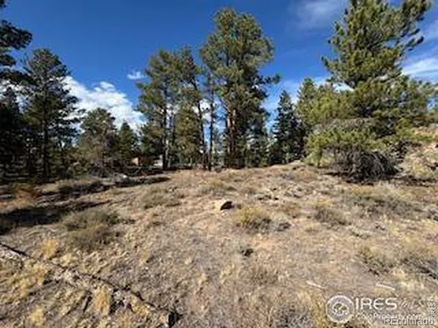 2921 Fox Acres Drive E Red Feather Lakes, CO 80545