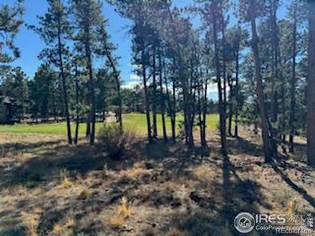 2921 Fox Acres Drive E Red Feather Lakes, CO 80545
